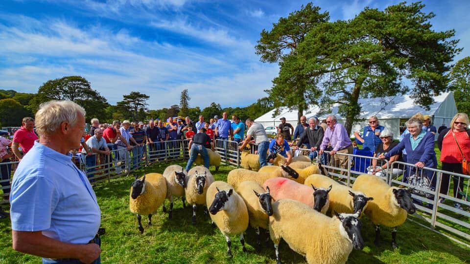 Beulah Show set to return with bumper scheduele breconradnor.co.uk